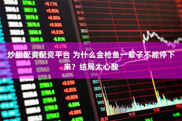 炒股配资配资平台 为什么金枪鱼一辈子不能停下来？结局太心酸
